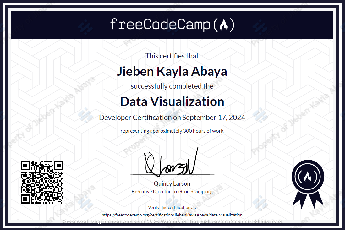 Data Visualization Certificate